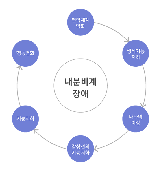 환경호르몬 관련 질환 예시